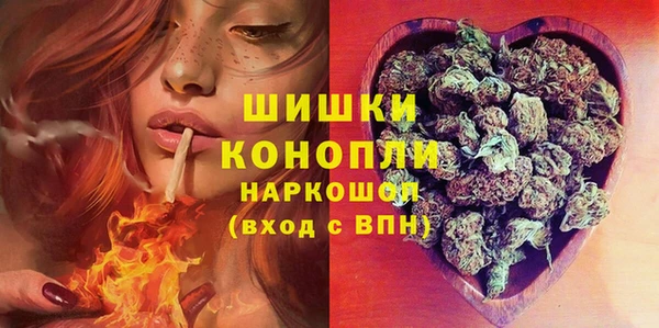 прущие грибы Абинск