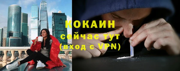 соль ск Абаза