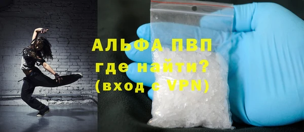 прущие грибы Абинск