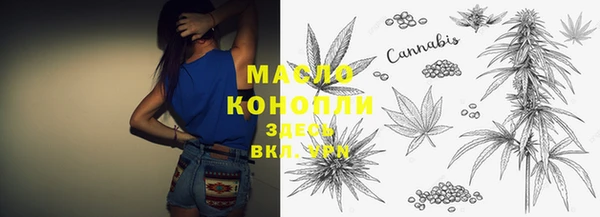 соль ск Абаза