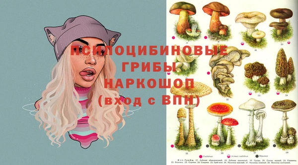 соль ск Абаза