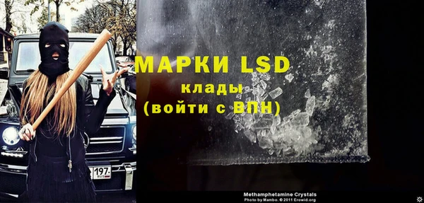 прущие грибы Абинск