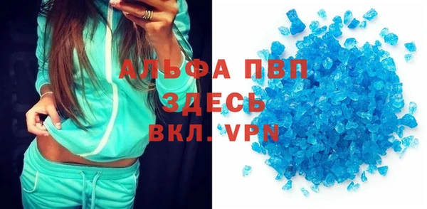 прущие грибы Абинск