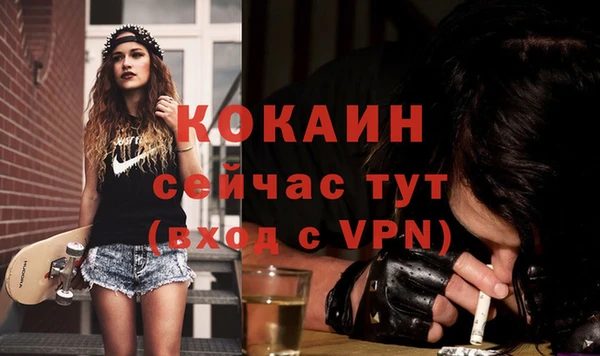 соль ск Абаза