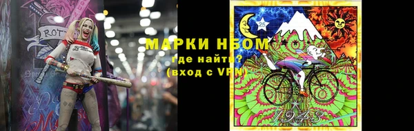 прущие грибы Абинск
