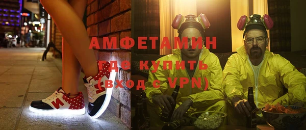 прущие грибы Абинск